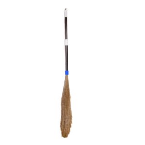 Silver Broom